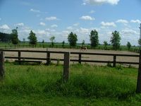 Bienvenue sur le site internet des Écuries De La Ferme St Foy